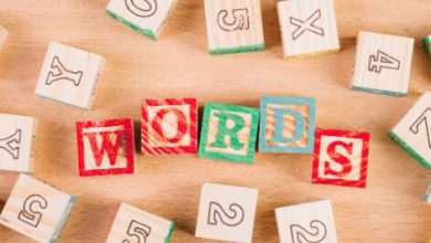 wordler.org-brings-unlimited-wordle-challenges-to-word-game-enthusiasts