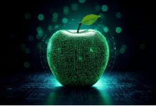 beware-of-american-style-backdoors:-new-vulnerability-discovered-in-iphone