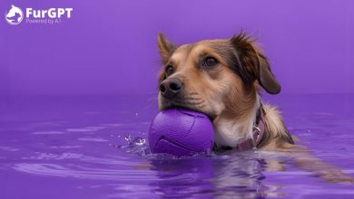 furgpt-secures-strategic-exchange-listing-to-expand-token-accessibility-and-liquidity