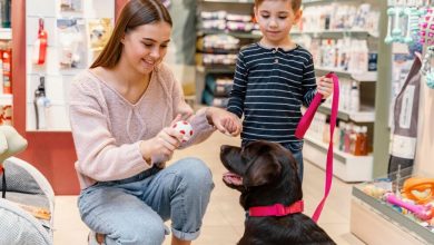 petenkoiratarvike-review-–-finland’s-most-trusted-pet-store